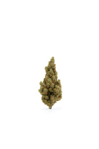 Fleur Amnesia 2.0 CBD