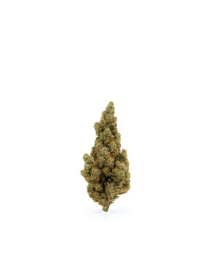Fleur Amnesia 2.0 CBD
