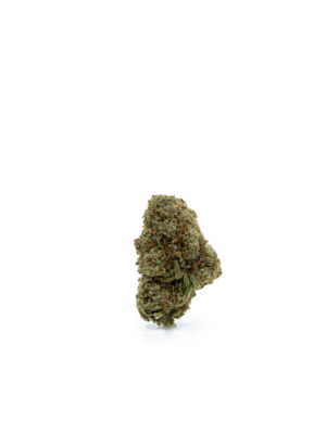 "Grand cru" Fleur AK-47 CBD