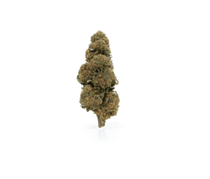 Magic Lady CBD 10g