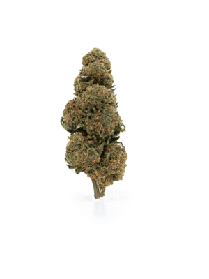 Magic Lady CBD 10g